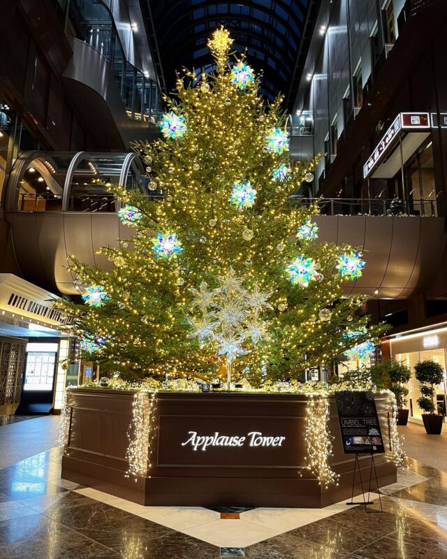 ✳︎
2022年
夜のChristmas tree🎄✨
今年は本物のツリーです🎄❤️
.

#loverenaissance#ラブルネッサンス#東京#銀座#大阪#梅田#ホテル阪急インターナショナル#tokyo#ハワイ#hawaii#ロイヤルハワイアンセンター#基礎化粧品#化粧品#cosmetics#コスメ#アンチエイジング#美肌#艶肌#美容液#ツヤ#ハリ#コスメ好きさんと繋がりたい#コスメマニア#美容好きな人と繋がりたい#スキンケア#xmas#xmastree#tree#クリスマスツリー#クリスマス