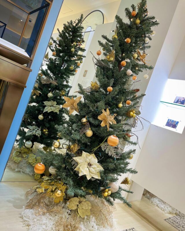 ✳︎
梅田shop内のクリスマスツリー🎄
ツリーを飾ると
一気にクリスマス感が出ますね❤️🎅🏻❤️

#loverenaissance#ラブルネッサンス#東京#銀座#大阪#梅田#ホテル阪急インターナショナル#tokyo#ハワイ#hawaii#ロイヤルハワイアンセンター#基礎化粧品#化粧品#cosmetics#コスメ#アンチエイジング#美肌#艶肌#美容液#ツヤ#ハリ#コスメ好きさんと繋がりたい#コスメマニア#美容好きな人と繋がりたい#スキンケア#クリスマスツリー#Christmas#Xmas#xmastree